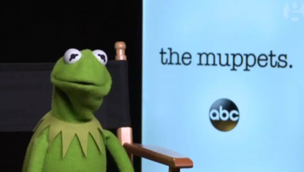 Kermit Speaks Out About Miss Piggy Break Up