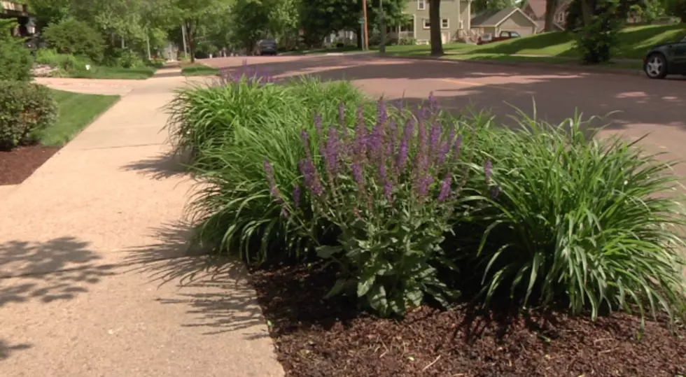 New City Ordinance Allows Residents to Landscape Parking Strips in Sioux Falls