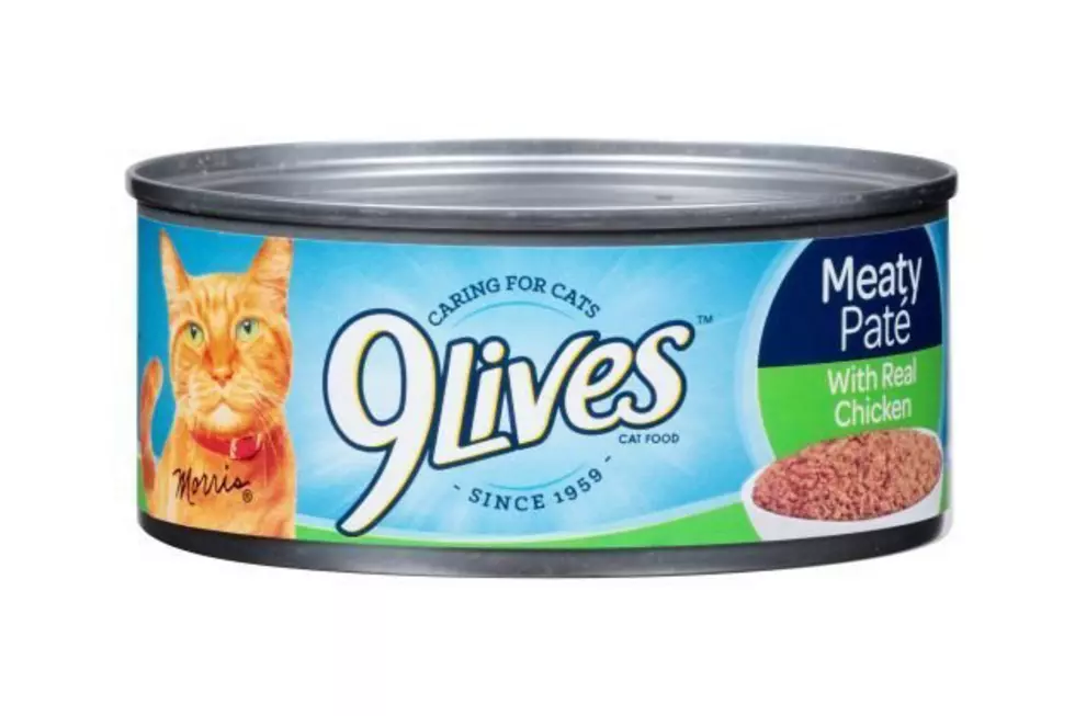 Cat Food Recall