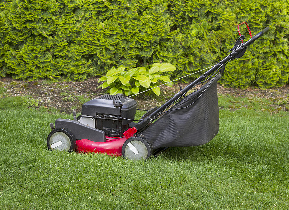 Finding a Good Mower Eases Hatred of Yardwork- Somewhat