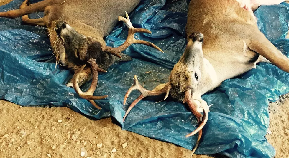 Sioux Falls Man Charged For Poaching Dozens of Deer