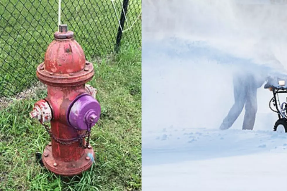 Can You Still Find the Fire Hydrants in Your Neighborhood?