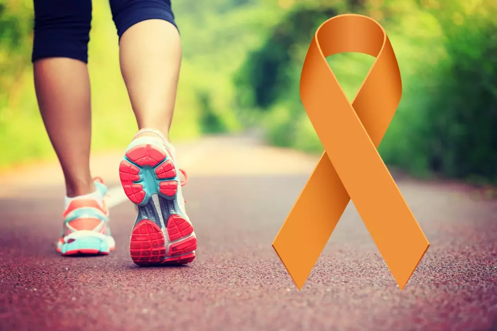 Sioux Falls Walk MS Working to End Multiple Sclerosis