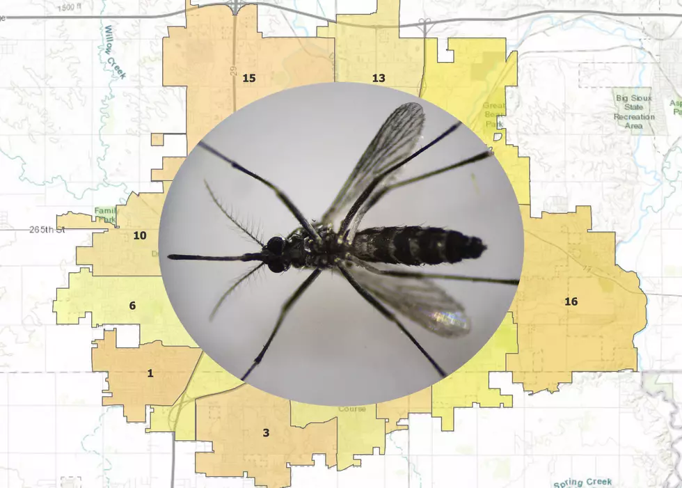 Here’s Where Mosquitoes Will Be Sprayed Tonight In Sioux Falls