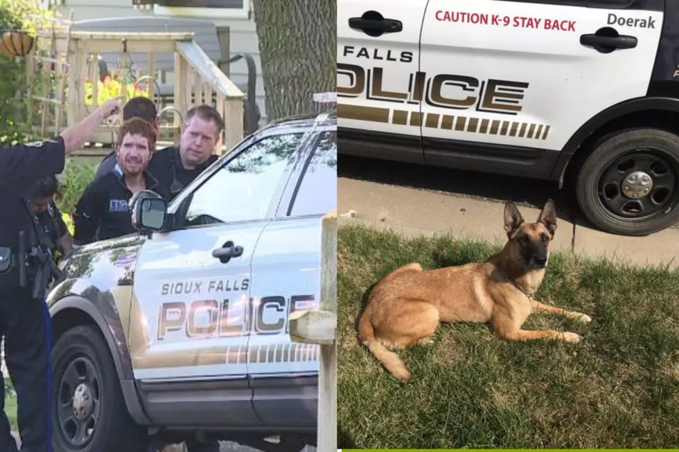 Sioux Falls Police Catch Stolen Vehicle Suspect Thanks to Help from K9 Cop