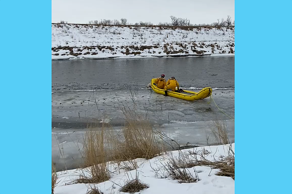 Video of Sioux Falls Fire Rescue Saving Dog In River