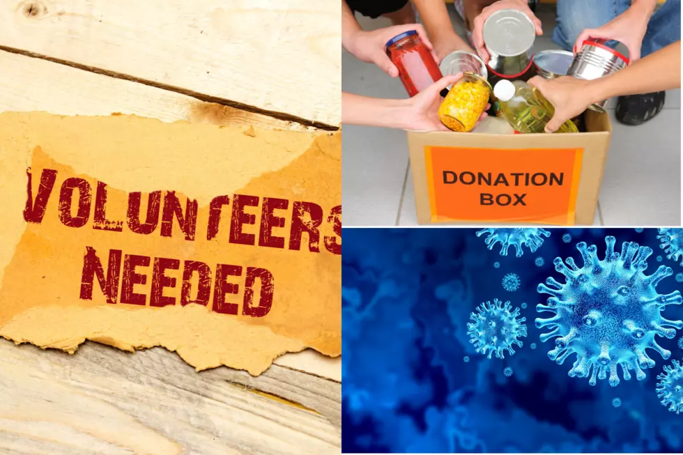 Helpline Center Volunteer Opportunities This Week