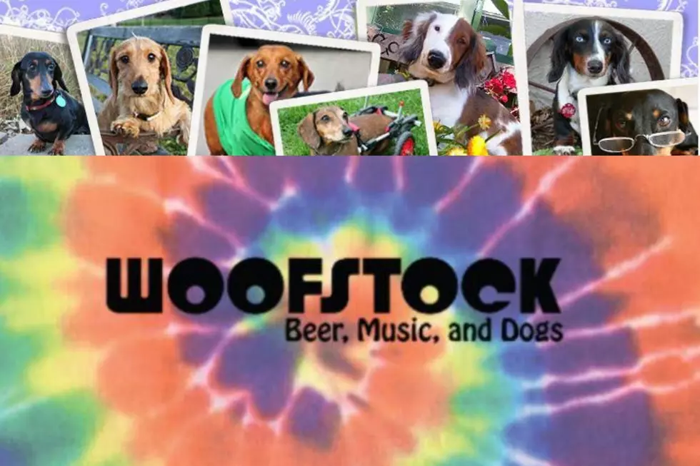Want A Quick Sneak-Peak Into What's Going on at Woofstock 2022?