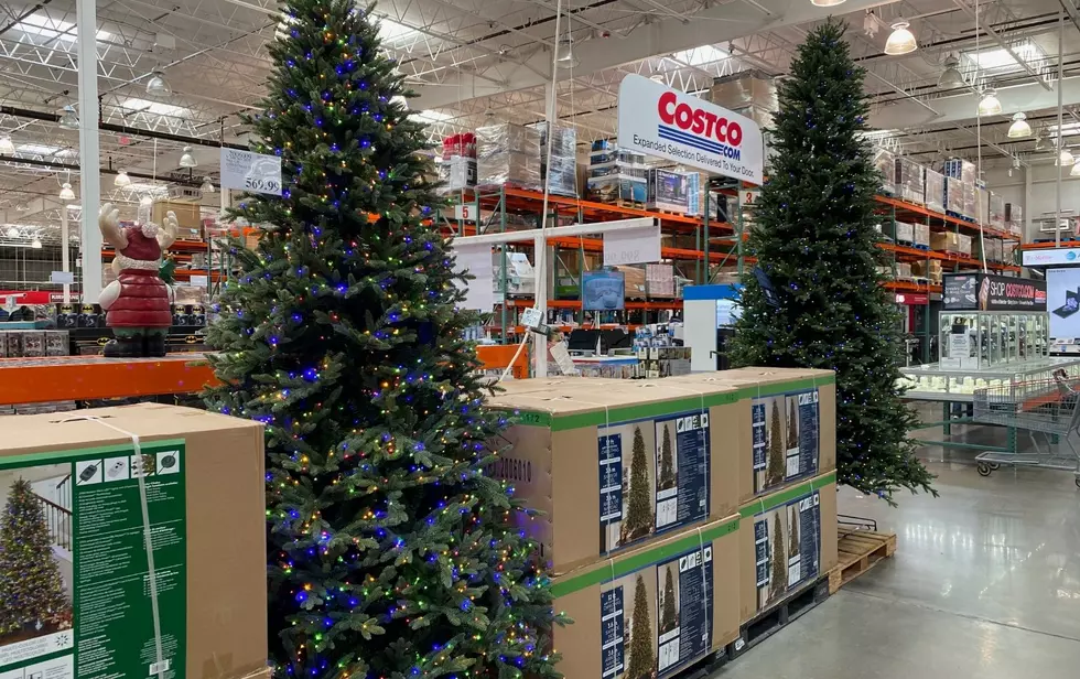 It’s Christmas At Costco Already and People Seem To Like It