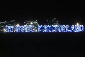 Winter Wonderland Lights Up the Night at Falls Park