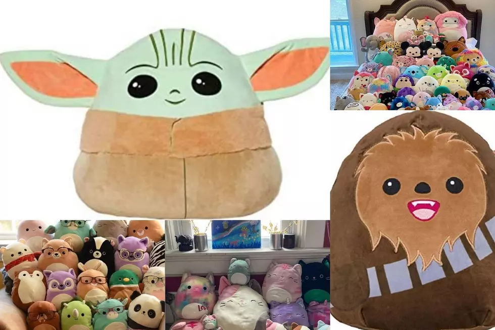 Why Everyone Wants SquishMallows and Can You Find Them in Sioux Falls?