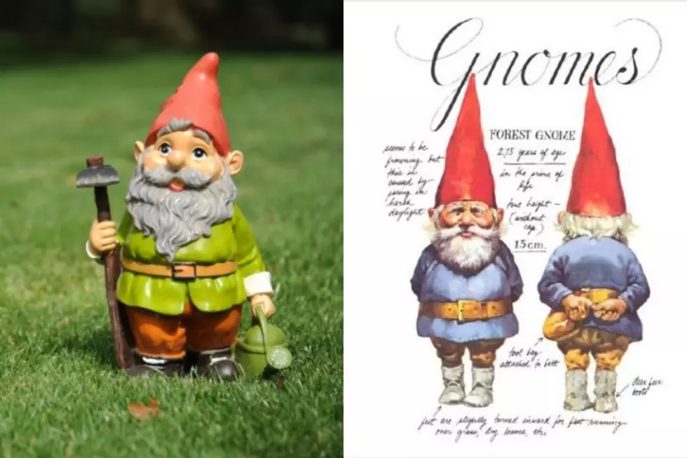 Is There a Shortage of Garden Gnomes in Sioux Falls?