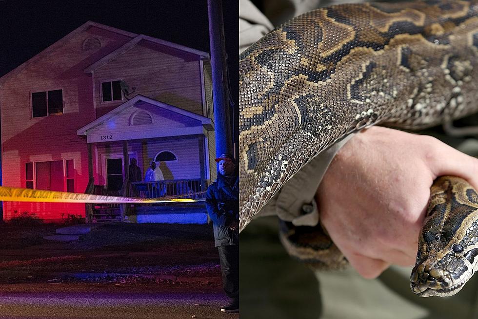 Pet Snake Rescued From Burning Sioux Falls Home