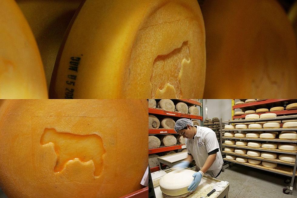 Is It illegal To Fall Asleep In A Cheese Factory In South Dakota?