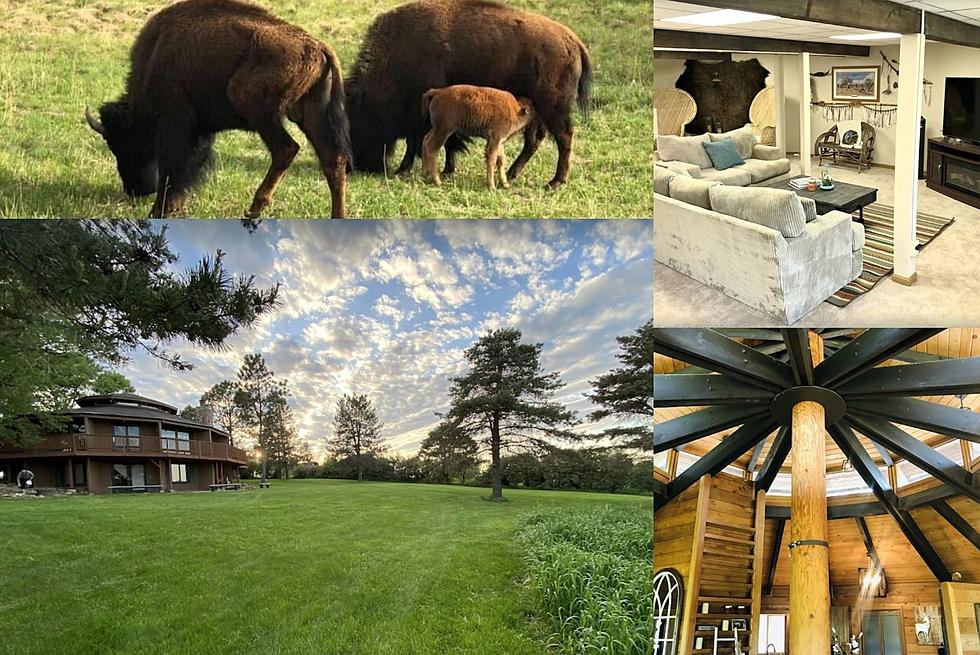 For $500 You Could Stay In Sioux Falls Home Where Buffalo Roam