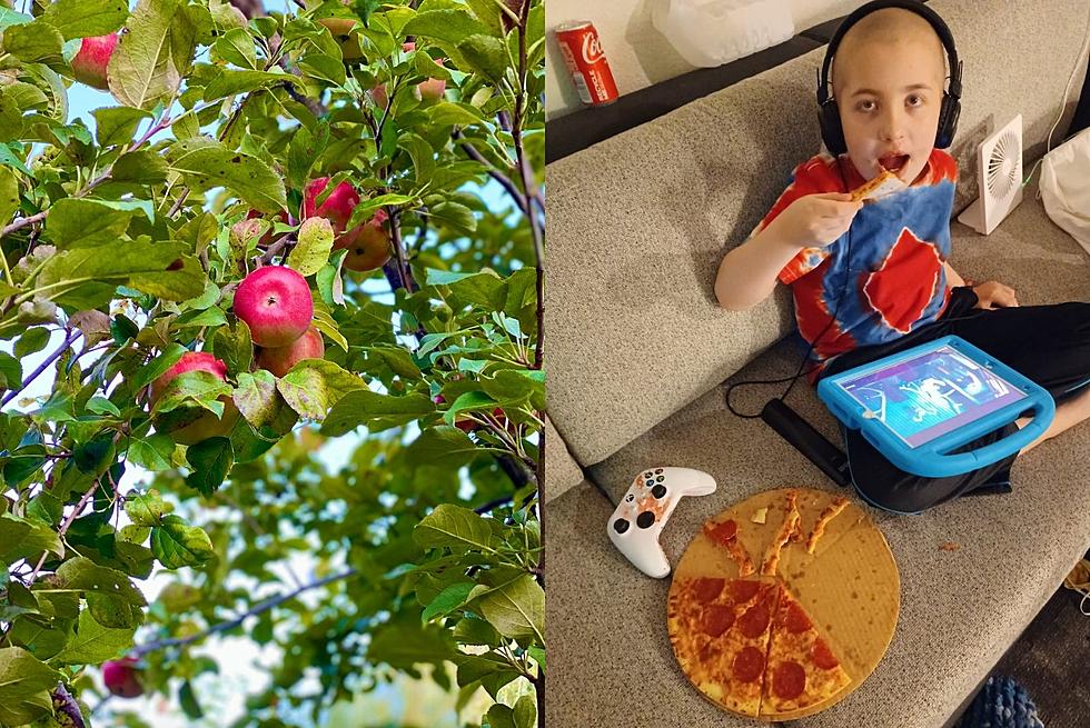 Pick Apples, Play, and Help This Baltic Kid Fight Cancer