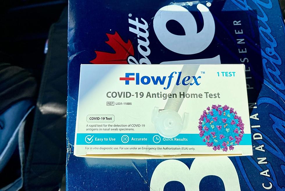 How To Get Your FREE At Home COVID Tests In SD, MN, & IA