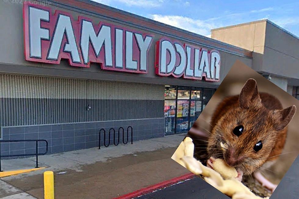 Rodent Crap Causes Closing of 400 Family Dollar Stores