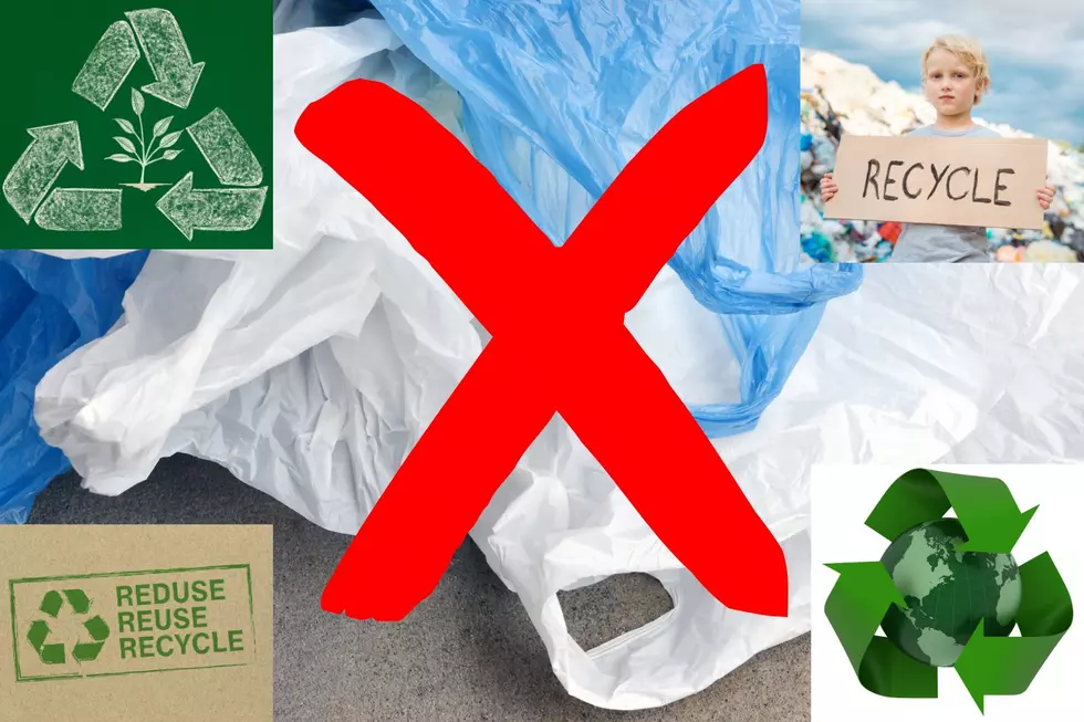 Why It’s Important Not To Recycle Plastic Bags