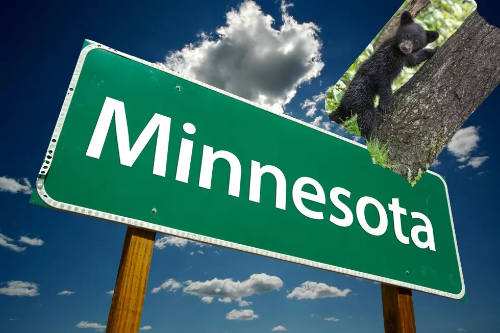 You Won’t Believe The List Of Minnesota’s 8 Deadliest Animals
