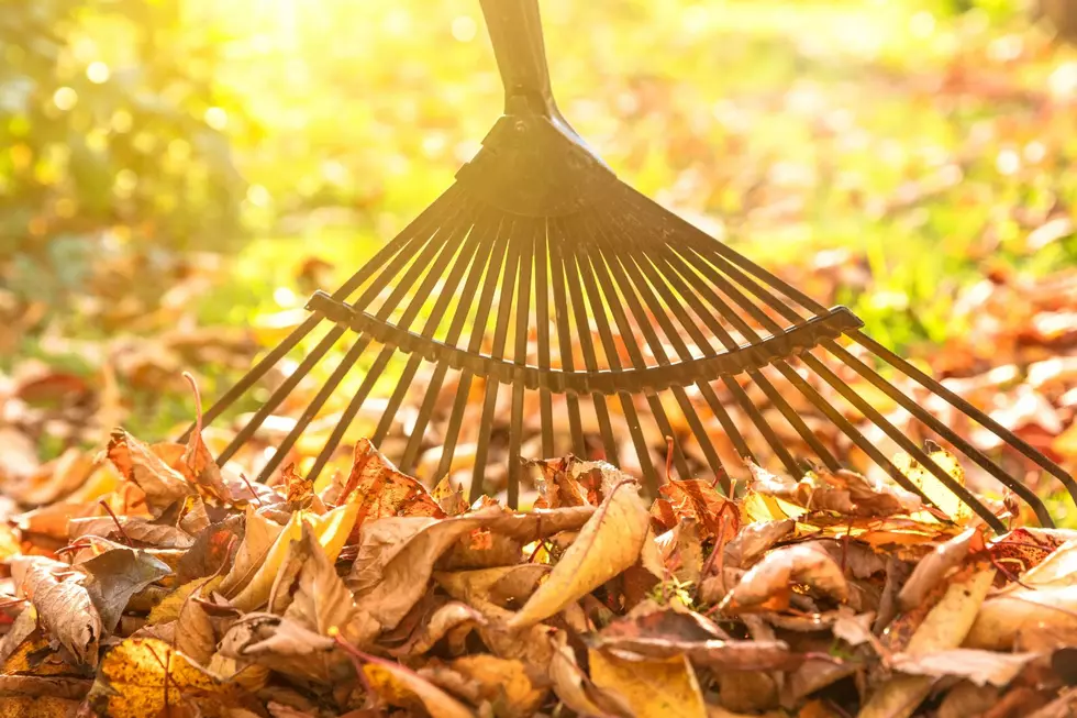 Have Rake? Will Travel? Rake the Town Takes the Spooky Out of Yard Work