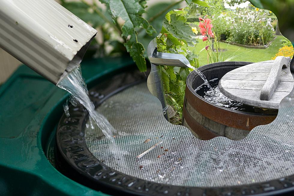 Is It Illegal to Collect Rainwater in South Dakota?