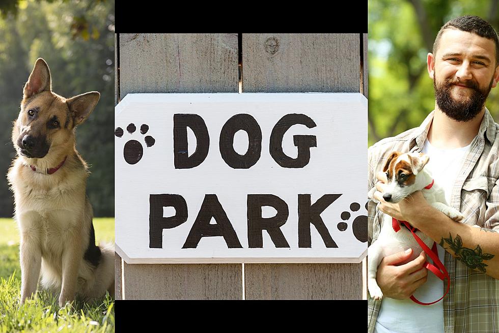 How You Can Rent A Private Dog Park for Your Sioux Falls Pups