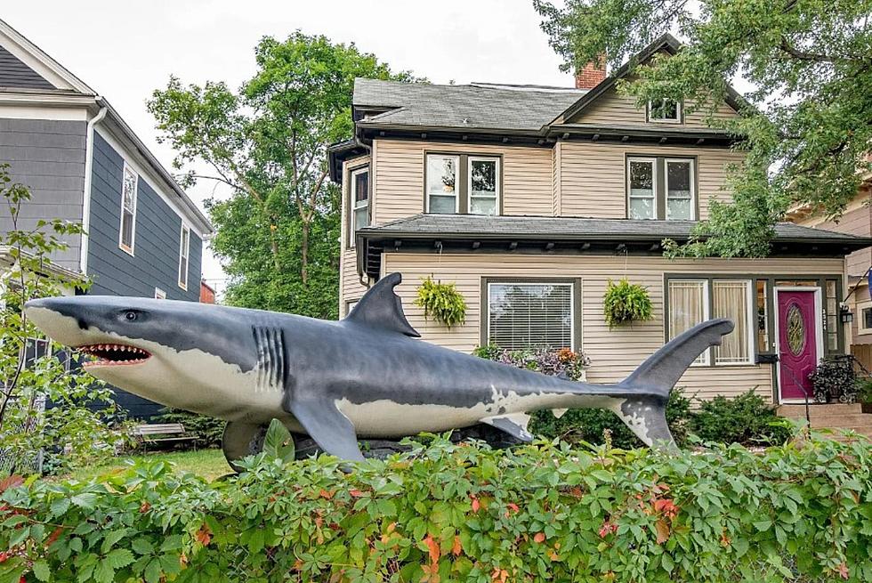 You Can Own This Minneapolis “Shark House” Right Now!