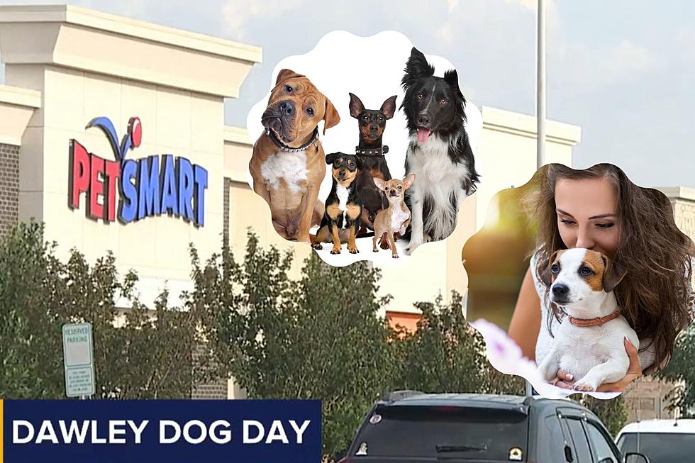Doggone Fun: It’s ‘Dawley Dog Day’ in Sioux Falls