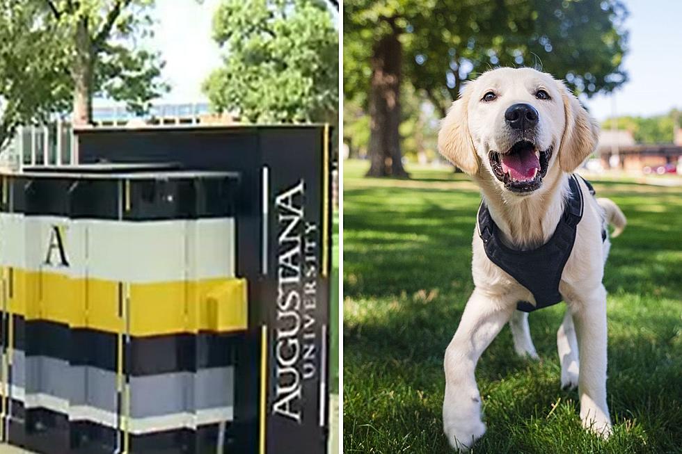 ‘Augie the Doggie’ Is Back at Augustana University in Sioux Falls