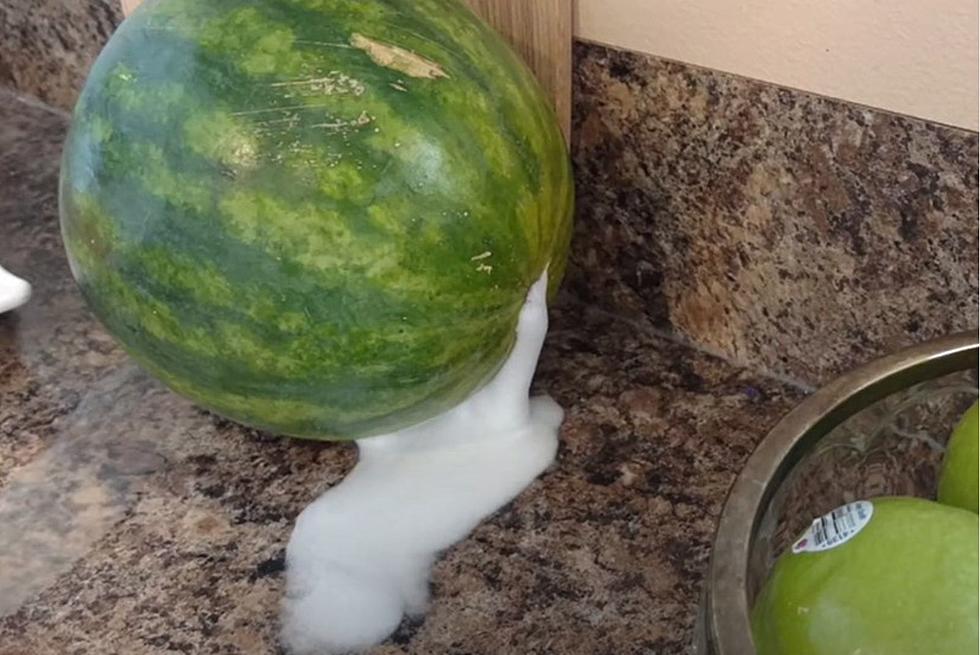 If Your South Dakota Watermelon Is Doing This, Beware!