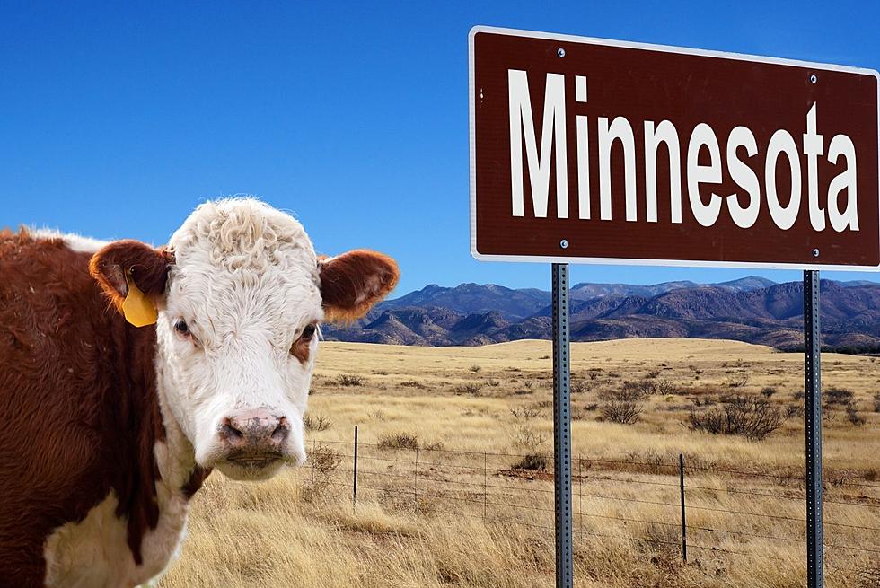 Actual Minnesota Town Nicknames I’ll Bet You Didn’t Know!