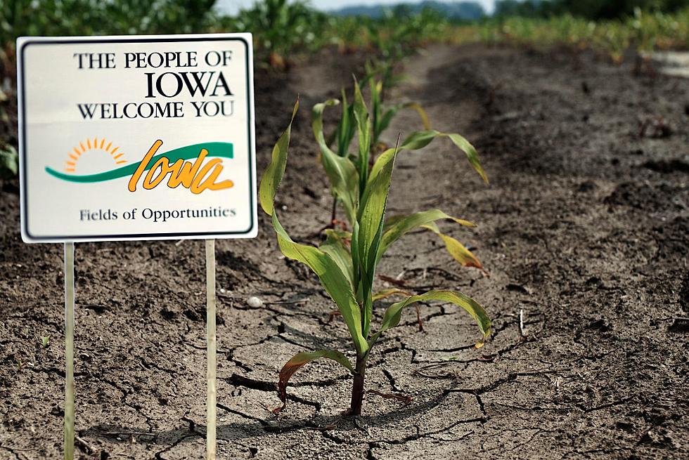 Ongoing Iowa Mega-Drought Worst In Over 70 Years!