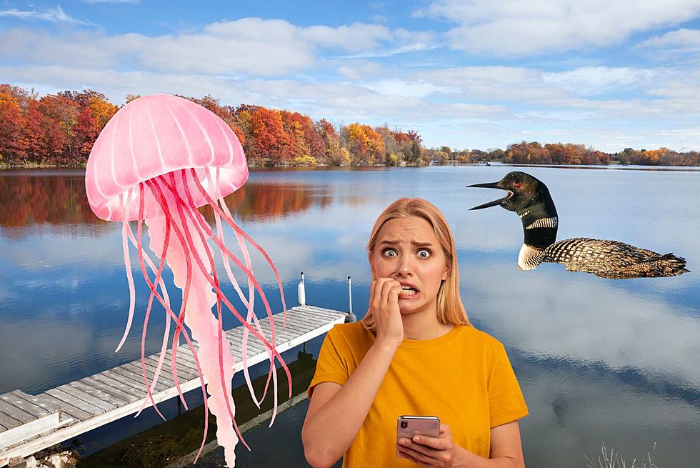 Are There Really Jellyfish Swimming In Minnesota Lakes!?
