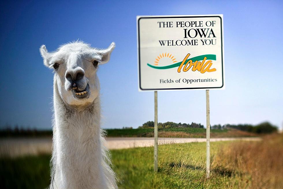 The Top-10 Dumbest Cities In The Whole State Of Iowa 2024