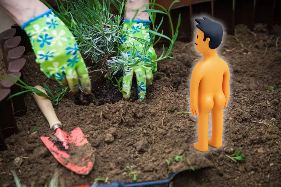 South Dakota Town Tops List Of “Worst Cities For Naked Gardening”
