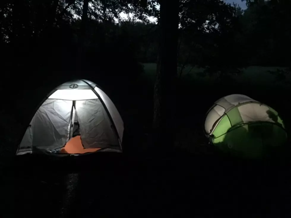 Camping With Raccoons – A South Dakota Love Story – Not really.
