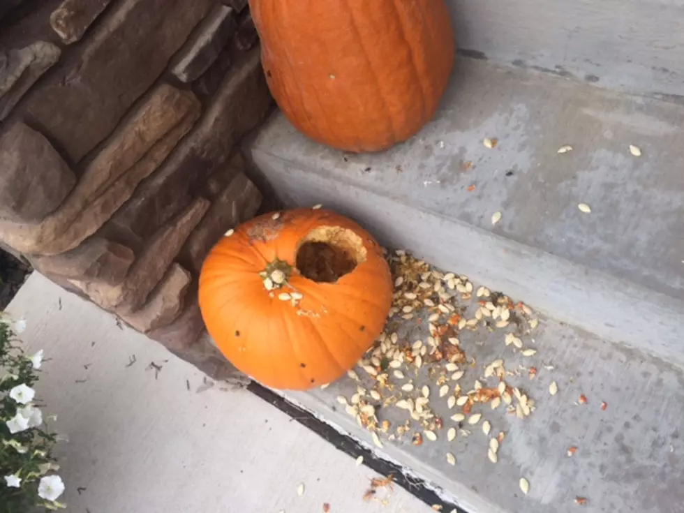 Pumpkin Zombies Feasting on Sioux Falls Porch Pumpkins