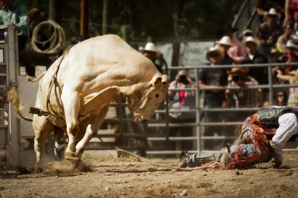 PBR's 'Unleash the Beast' Will Return to Sioux Falls in 2020 
