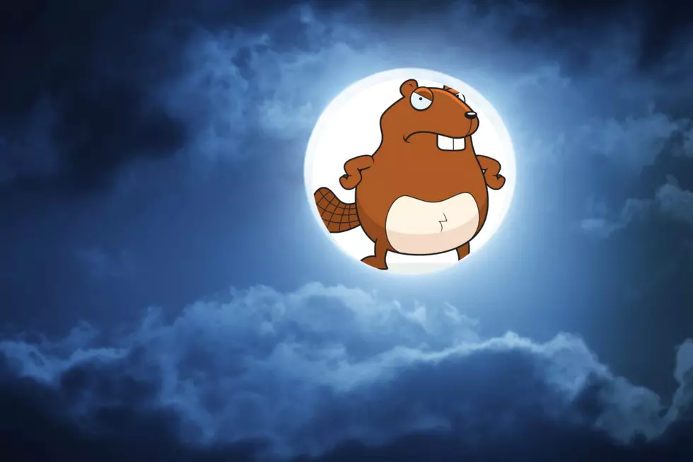Did You Catch Last Night's Giant Beaver Moon?
