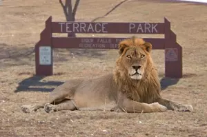Terrace Park in Sioux Falls Once Had Lions 