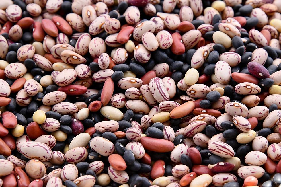 Beans Sold in South Dakota Part of Massive Recall