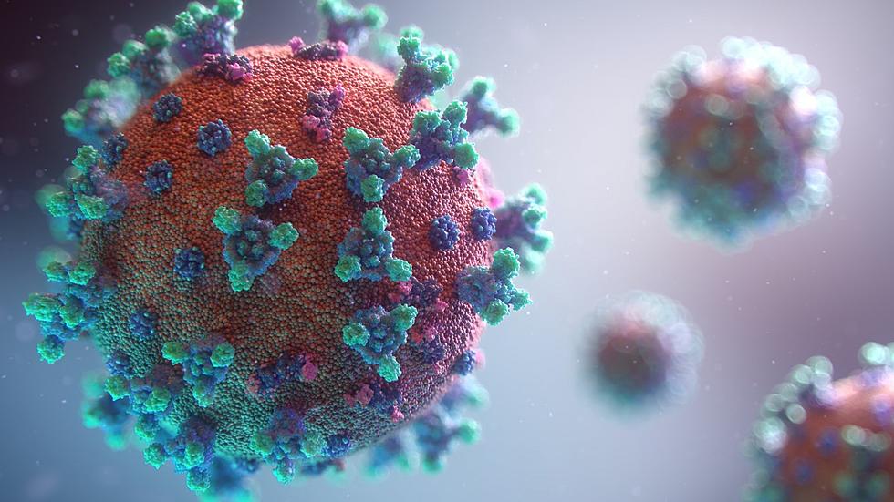 Wyoming’s Coronavirus-Related Death Toll Tops 1,000