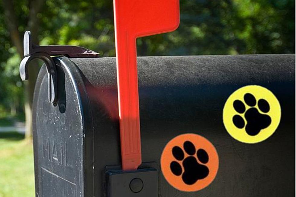 What Does It Mean When You Find Dog Paw Stickers on Your Mailbox?