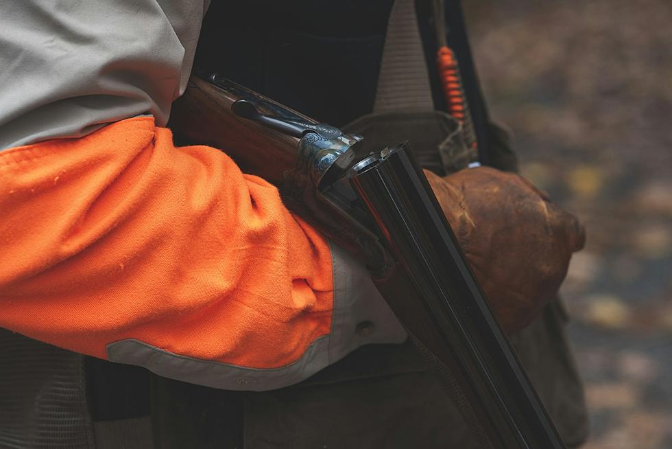 Move over Orange, Pink May Be Coming to South Dakota Hunting