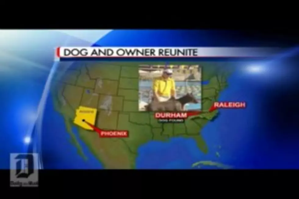 Doberman Reunited With Owner After 7 Years