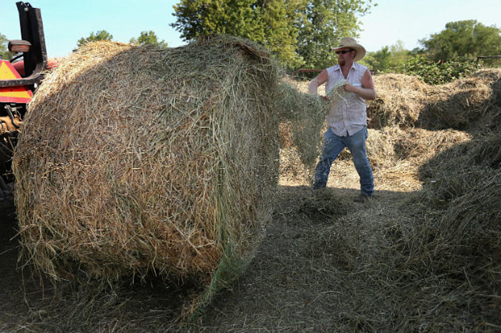 Vassalboro Farmer Hopes To Produce ‘Hay Logs’ For Home Heating
