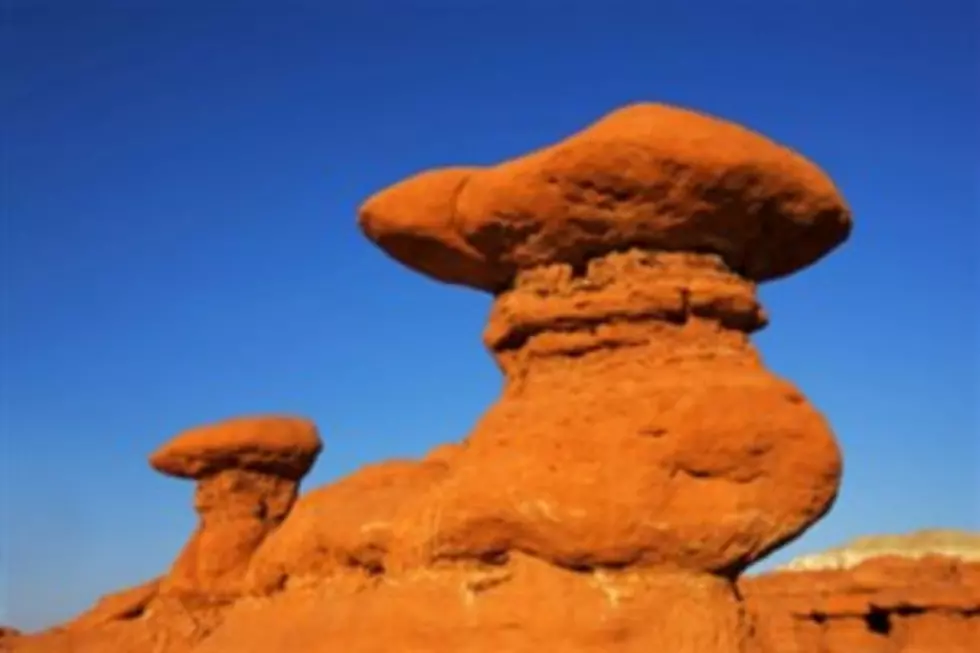 Boy Scout Troop Leaders in Utah Topple 170 Million Year Old Rock Formation
