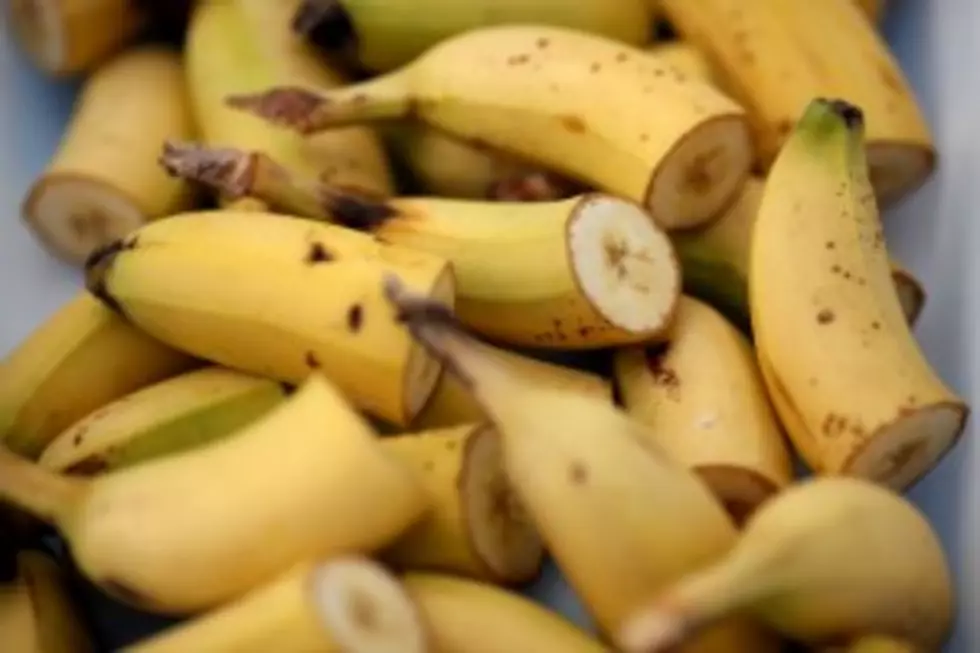 A Zoo In England Is Banning Monkeys From Eating Bananas