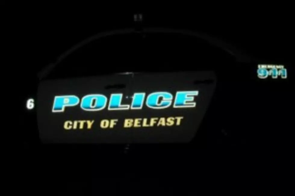 Belfast Police Are Looking For The Owners Of A Dog Lost On Christmas Day
